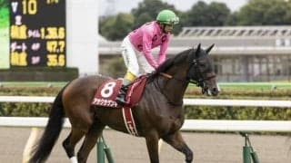 【小倉サマージャンプ出走馬・騎手確定】アサクサゲンキ＆石神深一騎手、シャイニーゲール＆小牧加矢太騎手など13頭