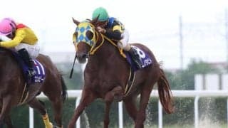 【笠松・岐阜金賞結果】タニノタビトが接戦を制して5連勝