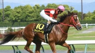 【キーンランドC出走馬・騎手確定】ウインマーベル＆松山弘平騎手、ジュビリーヘッド＆横山和生騎手など16頭