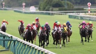 今年も来たぞ「夏のミルファーム祭り」未勝利戦7頭出しに新潟札幌メインにも登場