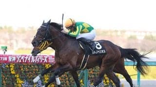 【次走】サトノヘリオスは神戸新聞杯へ  2歳コースレコード連発の期待馬