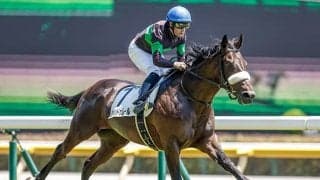 【札幌2歳S】新馬戦ノーステッキ快勝のシャンドゥレールが1週間前追い切り　国枝師「いいものを持っているよ」