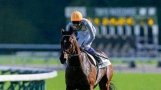 フォレ賞（G1）・フォワ賞（G2）・ニエル賞（G2）他に日本馬が登録
