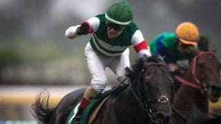 レイエンダが競走馬登録抹消