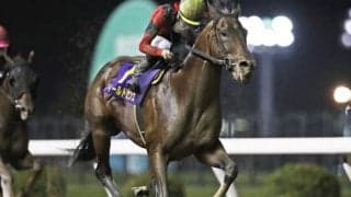 【川崎・スパーキングサマーC結果】フィールドセンスが追い込み決め転入2戦目を重賞初Vで飾る