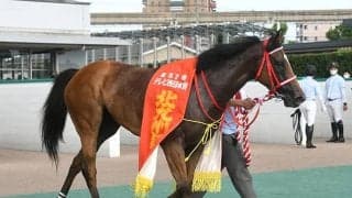 【次走】ボンボヤージはセントウルSへ 北九州記念16番人気Vに続き短距離重賞連覇狙う