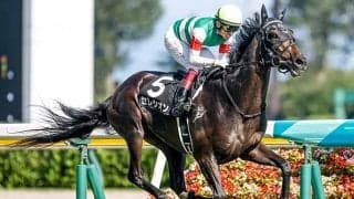 【次走】セレシオンは菊花賞直行 海外G1・2勝の母を持つ良血馬に期待