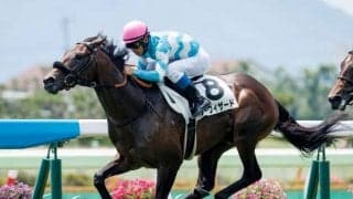 【新潟2歳S枠順確定】ロードディフィートは2枠2番、シーウィザードは7枠8番