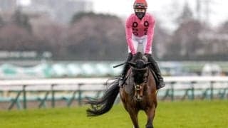 【小倉サマージャンプ枠順確定】アサクサゲンキは6枠9番、シャイニーゲールは4枠5番