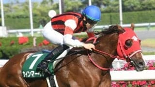 【キーンランドC枠順確定】ウインマーベルは3枠5番、ジュビリーヘッドは5枠9番