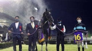 【次走】アルクトスは3連覇のかかるマイルCS南部杯で復帰予定