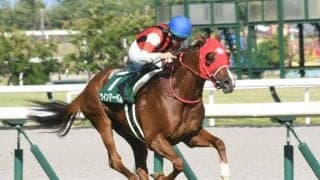 【キーンランドC予想】あの「大穴馬」にも警戒!? 馬体で見る洋芝通用の有力馬