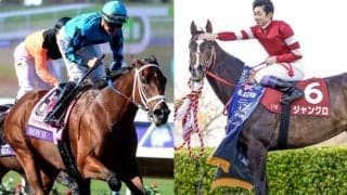 名種牡馬モアザンレディが25歳で死亡　ロイエイチ、モアジョイアスなど北半球・南半球で名馬を多数輩出