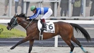 【札幌5R新馬戦結果】ヘニーヒューズ産駒ペリエールが完勝