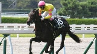 【ひまわり賞結果】鹿児島馬サツマノオンナが2番手から抜け出して無傷2連勝