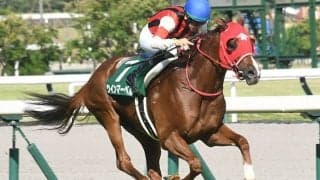 【キーンランドC予想】3歳「有力馬」がピンチ!? 明暗を分けるのは軽量を活かせる位置取りか