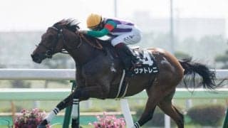 【キーンランドC前日オッズ】ヴァトレニが5.4倍で1番人気、トウシンマカオが続く