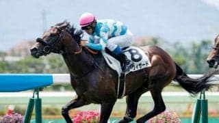 【新潟2歳S前日オッズ】シーウィザードが4.9倍で1番人気、過半数6頭が10倍を切る大混戦