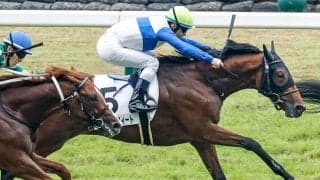 【新潟2歳S予想】8頭中6頭が「1秒以上」の完敗！ 鬼門ともいえる前走条件とは…