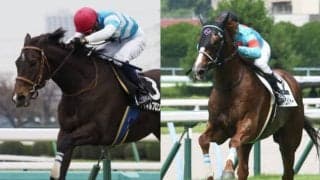 【小倉SJ】落馬した白浜雄造騎手は頭部外傷の疑いで病院搬送　競走中止のマイネルプロンプトとクライムメジャー＆植野貴也騎手は異状なし