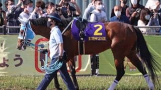 8月27日の競走中止、競走除外、疾病の一覧 ベルダーイメル心房細動など/札幌・新潟・小倉