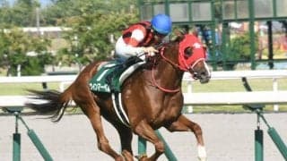 【今日の注目ポイント】札幌でキーンランドC、新潟では新潟2歳S