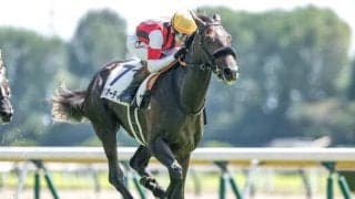 【新潟2歳S予想】若き馬達がマイル馬最強を目指す