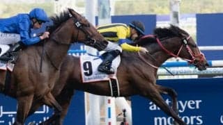 【仏G2・ドーヴィル大賞出馬表】22時55分発走！ ステイフーリッシュが海外3連勝に挑む