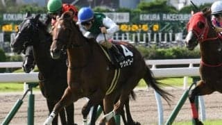 8月28日の競走中止、競走除外、疾病の一覧 サヴォワールエメ出走取消など/札幌・新潟・小倉