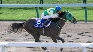 【WASJ・第3戦】第3戦は松山弘平が勝利