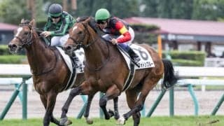 【新馬/札幌5R】武豊騎乗 良血フォトンブルーがデビューV