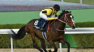 【仏・ドーヴィル大賞結果】ボタニクがV 日本のステイフーリッシュは2着