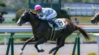 【小倉2歳S登録馬】クリダームなど16頭