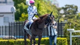 【小倉2歳S見どころ】クリダームの重賞初制覇なるか