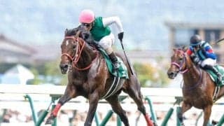 【新潟記念見どころ】夏競馬を締めくくるハンデ重賞を制すのは