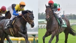【先週のJRA抹消馬】三冠牝馬の次男坊ジナンボー、ダービー馬の弟レイエンダなど