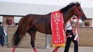 【キーンランドC】売上は64億7483万900円で昨年からおよそ10億円の増加