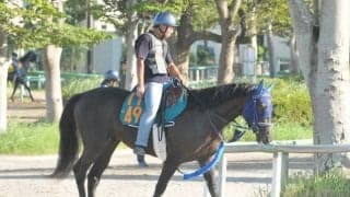 両親がともに“キズナ”　同名配合で話題呼ぶオールアイズオンなど/関東馬メイクデビュー情報