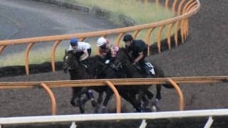 新馬から期待十分、ハーツクライ産駒のドウフォルス/関西馬メイクデビュー情報