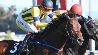 【AI予想・新潟記念】あとはハンデ次第!? 疑いようのないポテンシャルで待望の重賞初制覇へ