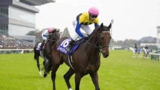 【新潟記念展望】夏競馬のフィナーレ、近年は差し優勢の傾向