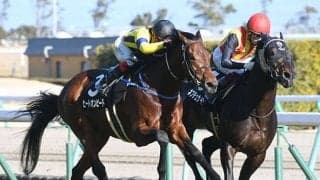 【新潟記念想定騎手】ヒートオンビートは池添謙一騎手、サンレイポケットは鮫島克駿騎手