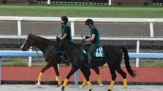スプルなど、先週のゲート試験/栗東トレセンニュース