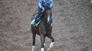 アウクソーなど、先週の入厩情報/栗東トレセンニュース