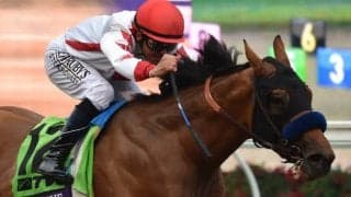 前年米2歳王者が故障のため引退　無傷3連勝でG1・2勝のコーニッシュ