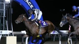 【地方競馬】ホッカイドウ競馬の井上俊彦騎手が通算2000勝を達成