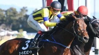 【新潟記念予想オッズ】ヒートオンビートが予想1番人気
