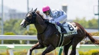 【小倉2歳S予想オッズ】クリダームが予想1番人気