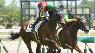 【札幌2歳S展望】飛躍に繋がる中距離重賞、あの馬の無傷2連勝に期待したい