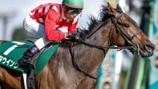 【次走】新潟2歳S覇者キタウイングは阪神JFが目標 「最大の目標は来年の桜花賞」